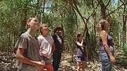 Izzy et les koalas