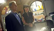 NCIS : Enquêtes spéciales
