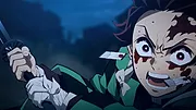 Demon Slayer : Kimetsu no Yaiba