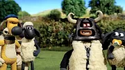 Shaun le mouton S2 E35