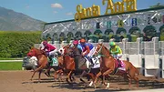 Race For The Crown : La gloire au galop