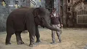 Expédition Pairi Daiza