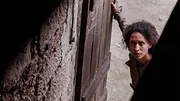 Le Goût des marguerites