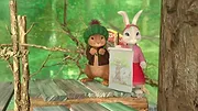 Pierre Lapin