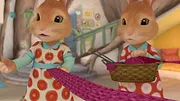 Pierre Lapin