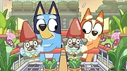 Bluey S2 E2