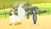 Tom et Jerry à New York S1 E1