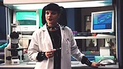 NCIS : Enquêtes spéciales