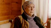 Кордон
