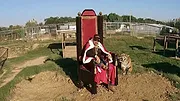 Au Royaume des fauves