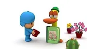 Pocoyo