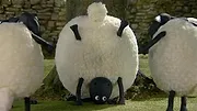Shaun le mouton S1 E28