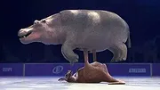 Athleticus