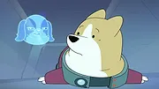 Les Chiens dans l'espace