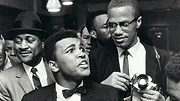 Qui a tué Malcolm X ?