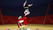 Looney Tunes Cartoons