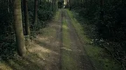 Catching Killers