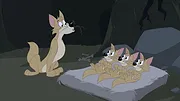 Tom et Jerry Show S5 E24