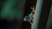 La Terre, La Nuit