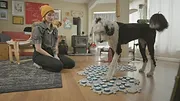 Dans la peau de nos animaux