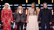 The Voice (États-Unis)