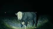Les secrets du Skinwalker Ranch