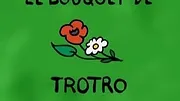 Trotro