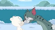 Tom et Jerry Show S4 E54