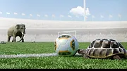 Athleticus S1 E12