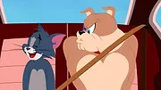 Tom et Jerry Show