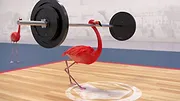 Athleticus S1 E28