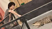 あなたの番です
