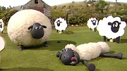 Shaun le mouton S1 E13