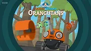 Les Octonauts : Mission Terre