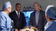 NCIS : Enquêtes spéciales