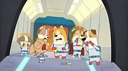 Les Chiens dans l'espace