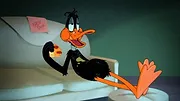 Looney Tunes Cartoons