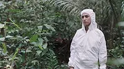 La Frontière verte