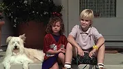 7 à la maison S1 E7