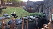 Expédition Pairi Daiza