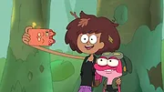 Amphibia