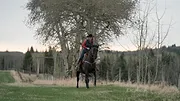 Heartland S11 E1
