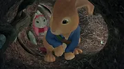 Pierre Lapin