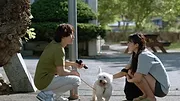Summer Strike