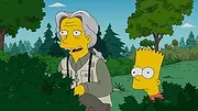Les Simpson