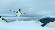 Nos océans