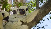 Parcs nationaux : Ces merveilles du monde