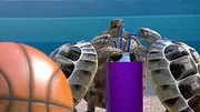 Athleticus S3 E1