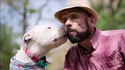Nos amis les chiens
