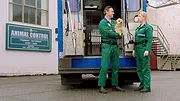 Pup Academy : L'école secrète
